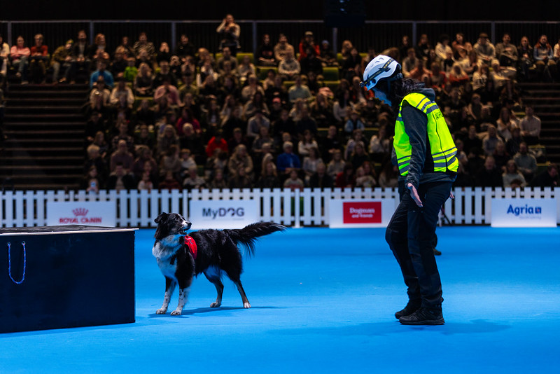 MyDOG hundutstä'llning