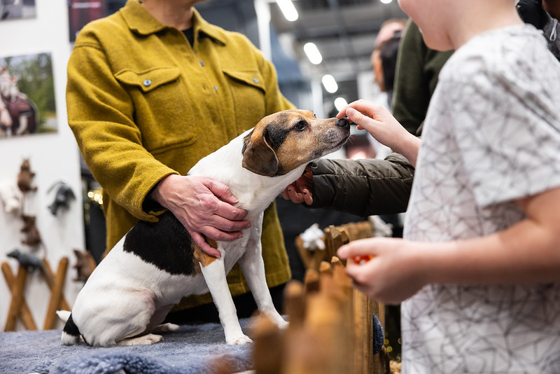 MyDOG ett barn som matar en hund