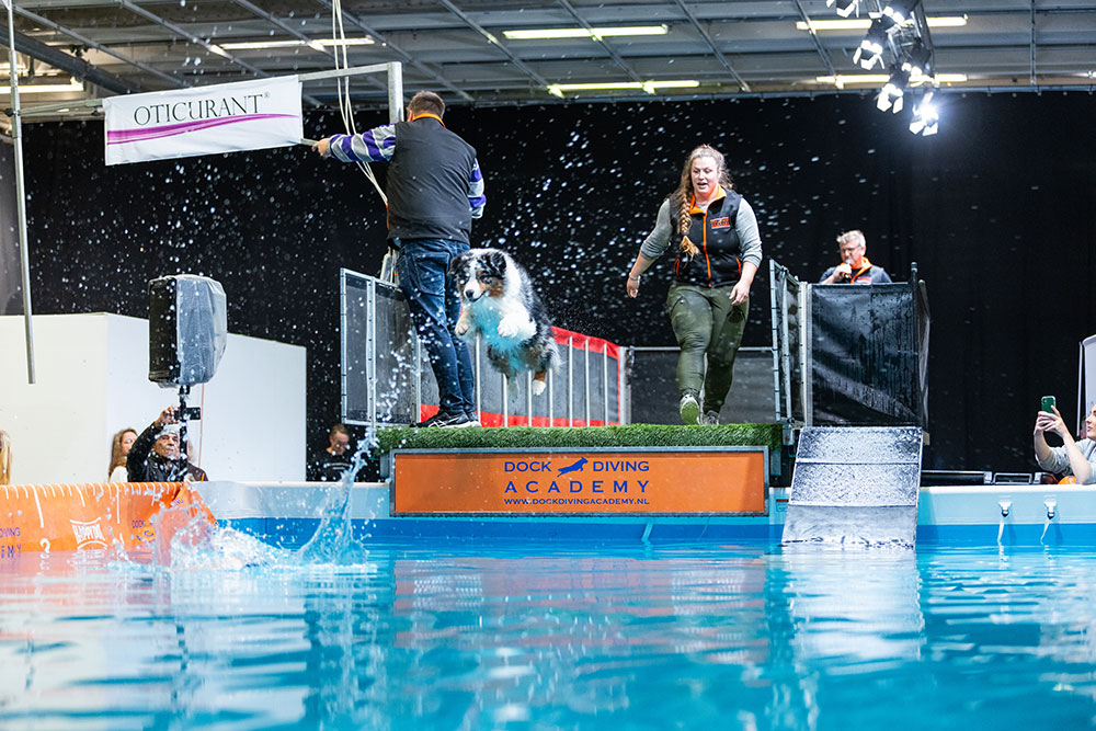 Dock Diving